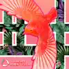 Sushifree - Robin's Flight - Single